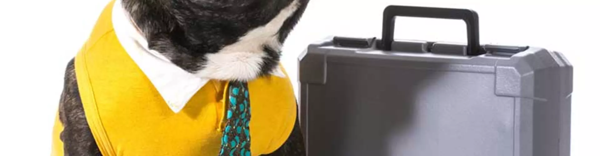 5 Major Don'ts for Your First Day of Work