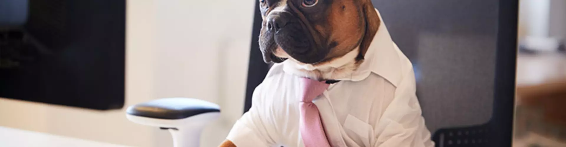 How to solve your biggest resume problems How to solve your biggest resume problems