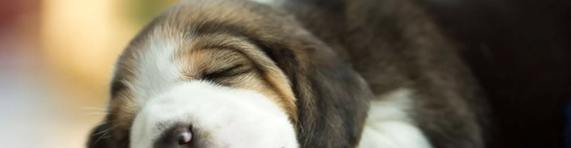Why 30 Minute Naps Make You Far More Productive [Video]
